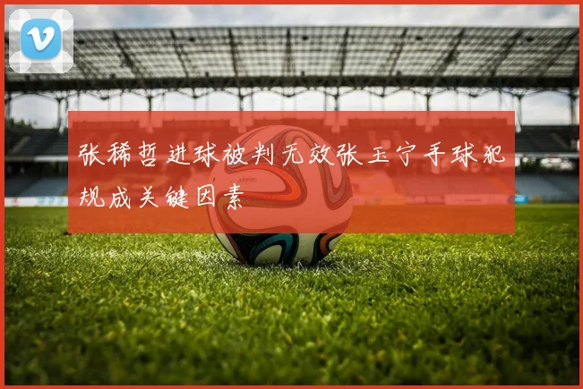 张稀哲进球被判无效张玉宁手球犯规成关键因素