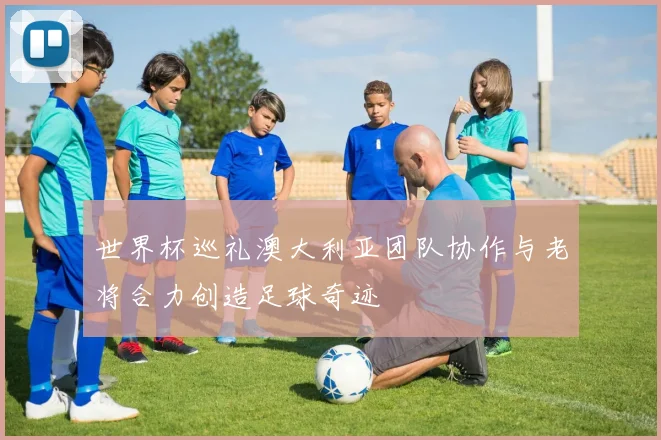 世界杯巡礼澳大利亚团队协作与老将合力创造足球奇迹